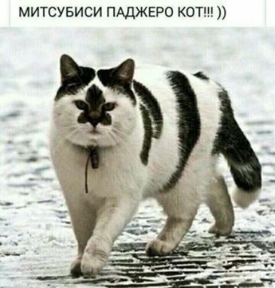 митсувиси пАджеро котш