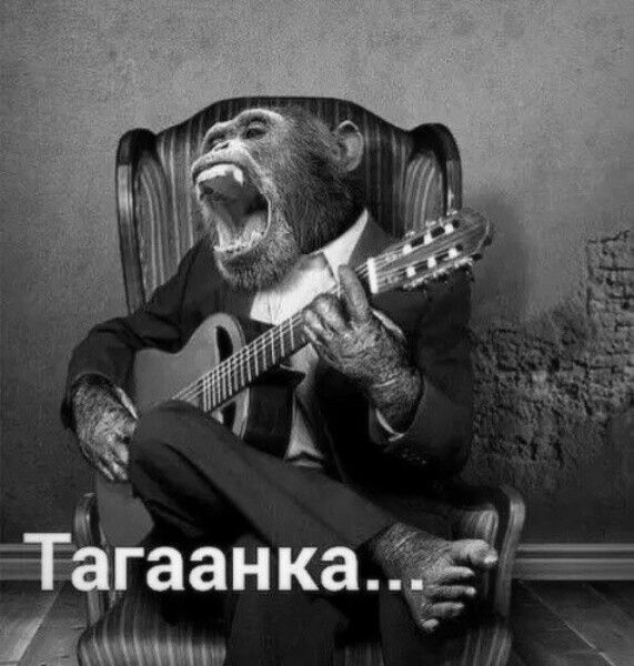 ёгаанкаЁЁЕ а