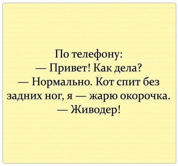 По телефону Привет Как дела Нормально Кот спит без задних ног я жарю окорочка Живодер