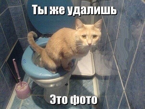 Тыже идапишь Т _ З Ф т