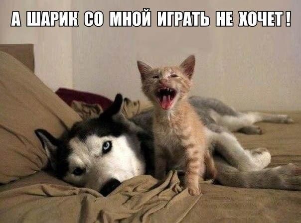 ШШЁШЁВШЁШЕЁБЁШЪЕЁШЁЁШ