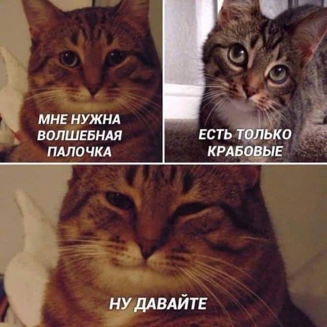 МНЕ НУЖНА ВОПШЕБНАЯ ПАЛОЧКА НУДАБАЙТЕ