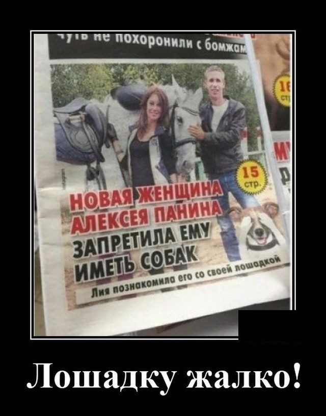 Лошадку жалко