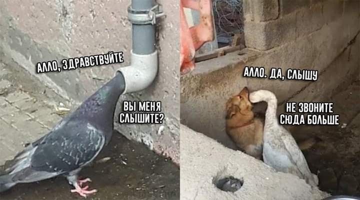 м мыши МЕ знпиик Виши імъш _