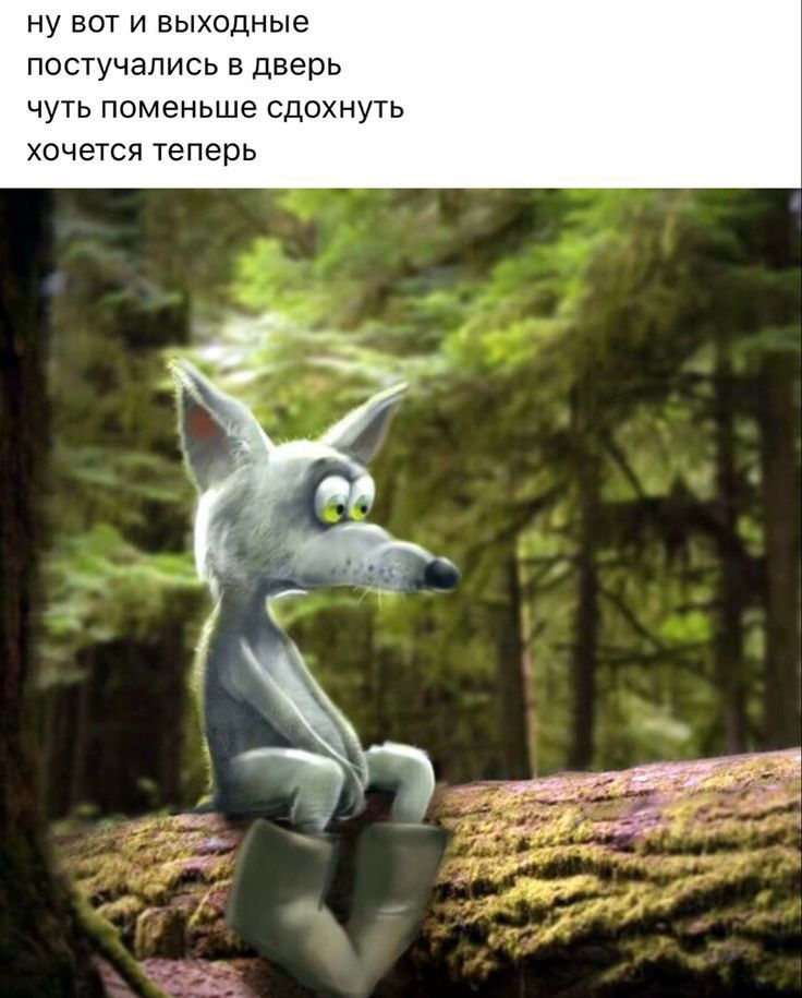 ну вот и выходные постучались в дверь чуть поменьше сдохнуть хочется теперь