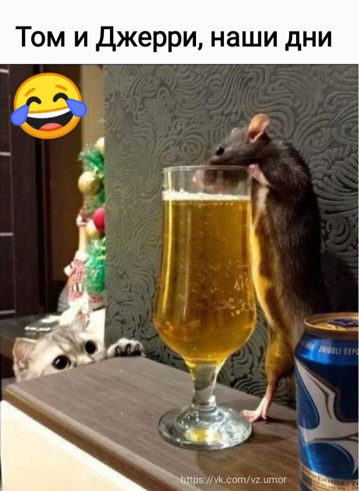 Том и Джерри наши дни