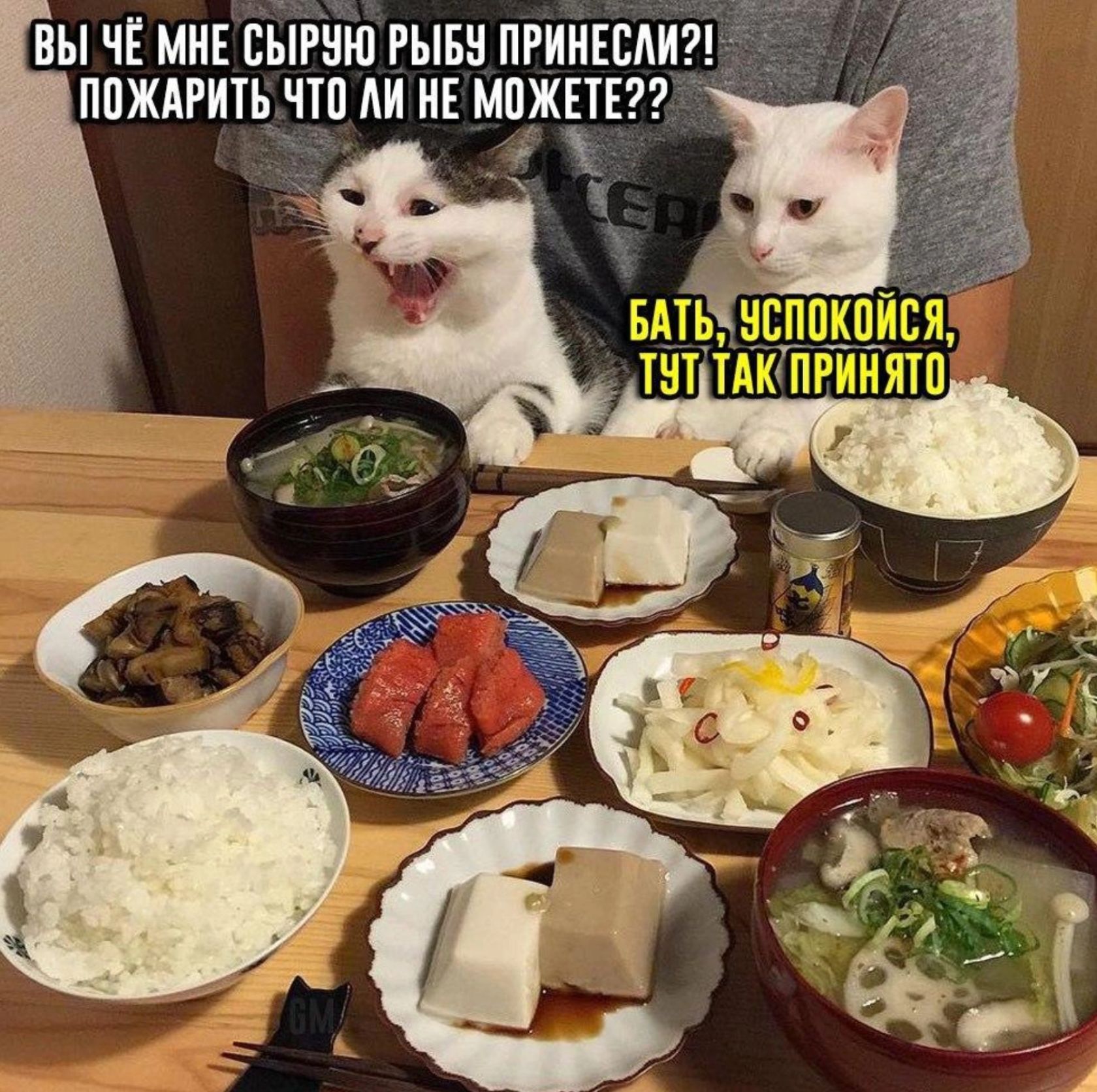 ВЫ ЧЁ МИЕ БЁіРЁЮ РЫБ ПРИИЕСАИ ППЖАРЩЪ ЧШ М Е МПЖЧЕП