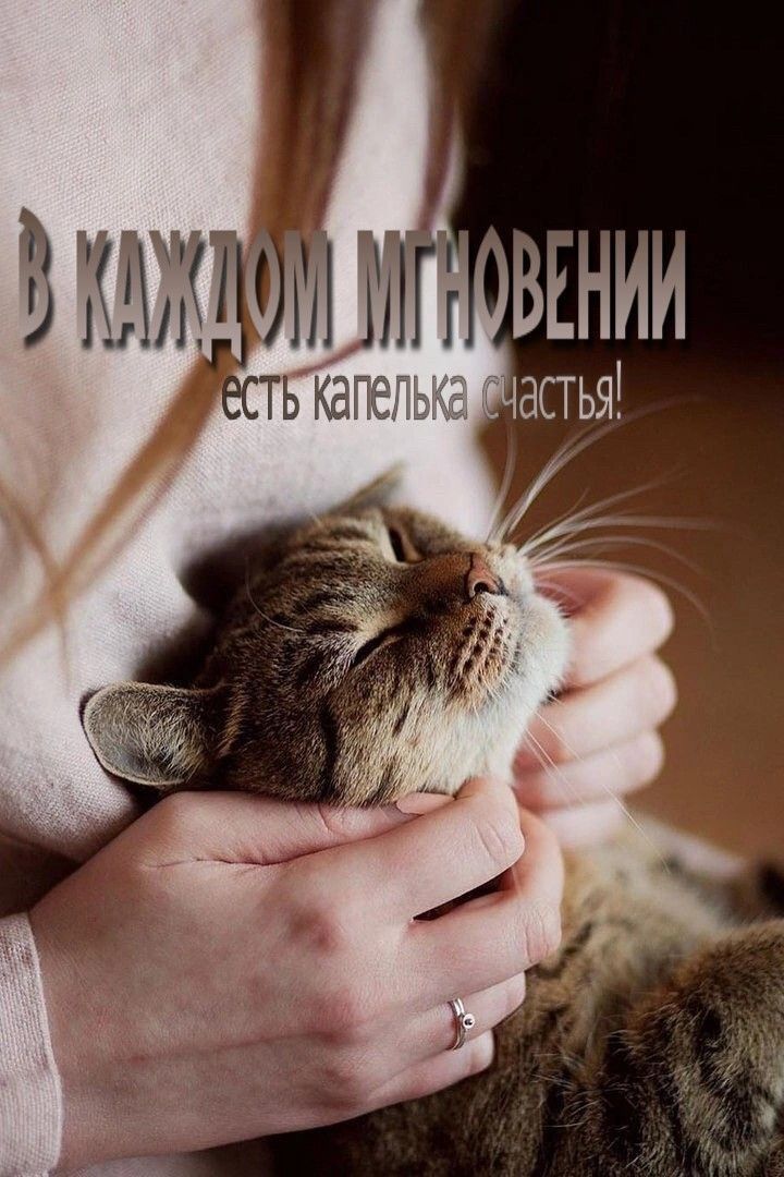 ВКЛБШЧНЛП ССТЬ КаГелЬК