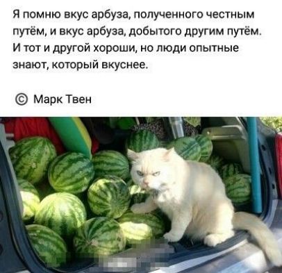 Я помню вкус арбуза получениого честным путём и вкус арбуза добытого другим путем И тот и другой хороши но люди опытные знают который вкуснее Марк Твен