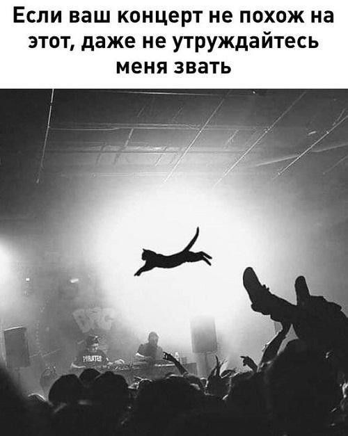 Если ваш концерт не похож на этот даже не утруждайтесь меня звать