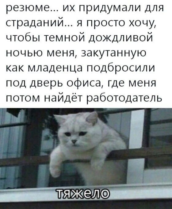 резюме их придумали для страданий я просто хочу чтобы темной дождливой ночью меня закутанную как младенца подбросили под дверь офиса где меня потом найдёт работодатель