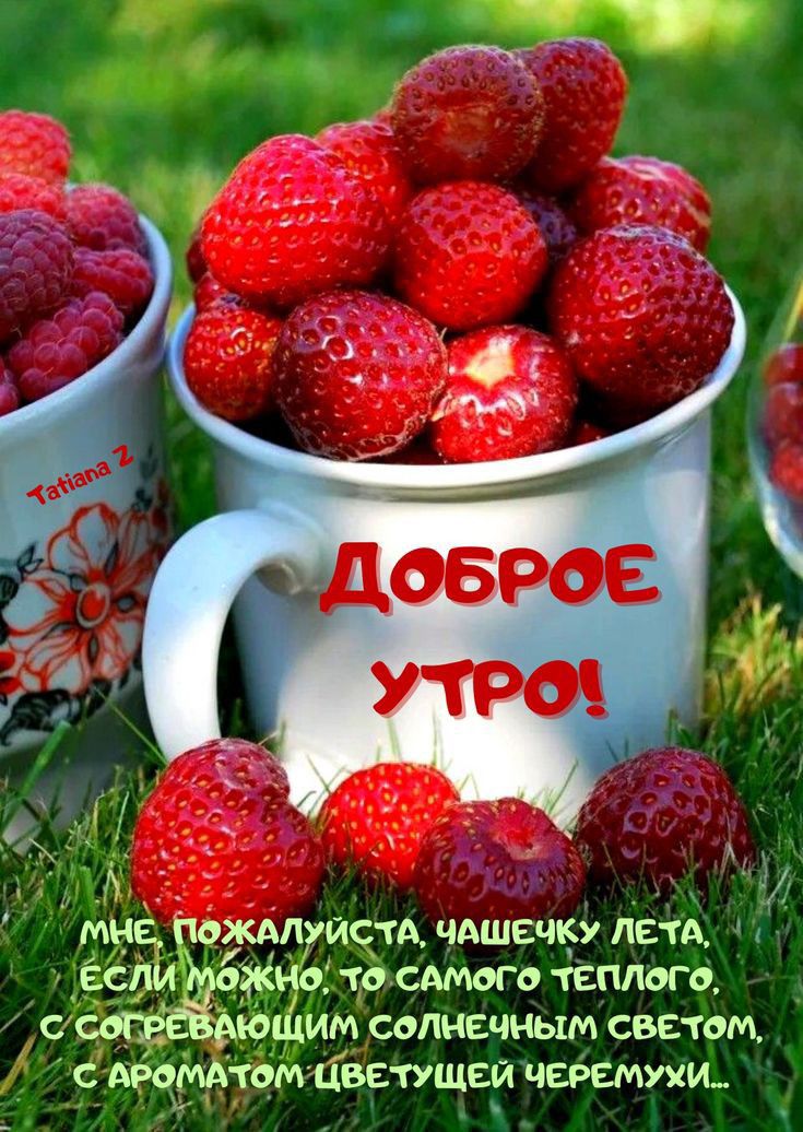 миа пождпуистд чдшечку летом семгу жда то сдмого теплого сеет вющим единичным светом с дающем Цветущая черемухш