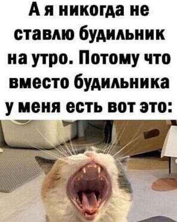 А я никогда не ставлю будильник на утро Потому что вместо будильника у меня есть вот это