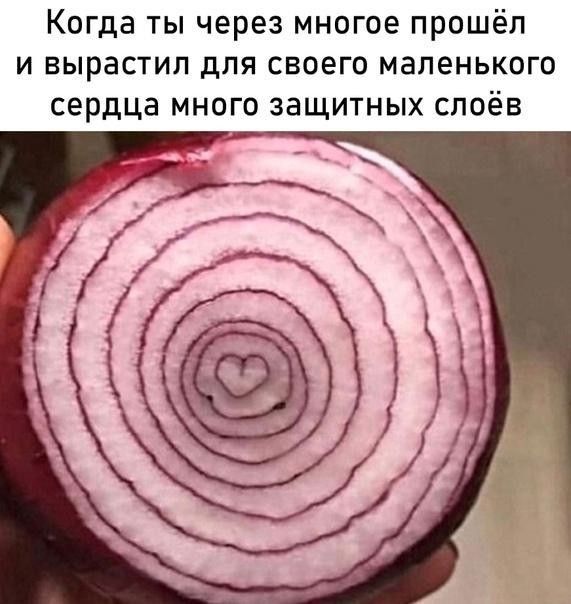 Когда ты через многое прошёл и вырастил для своего маленького сердца много защитных слоёв