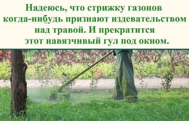 Надеюсь что стрижку газонов когдамибудь признают издевательством нид гривой И прекратится зтпт навязчивый г л под окном