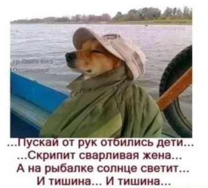 ускаи от рук 0 ипись дети Скрипит сварпивая жена А на рыбалке солнце свыит И тишина И тишина