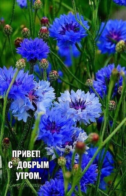 ж ЁЁ