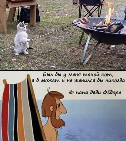 Был бы у меня такой ком я 5 может и в женился бы иикогдп папа дяди Фёдара