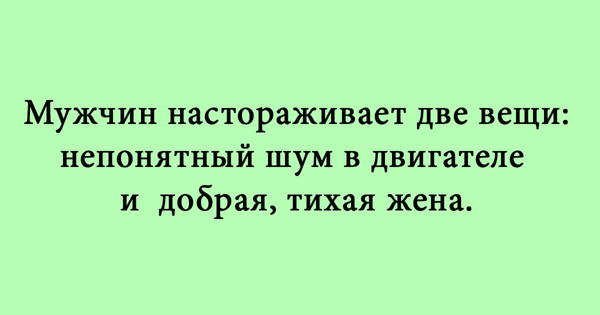 Мужчин настораживает две вещи непонятный ШУМ В двигателе и добрая тихая жена