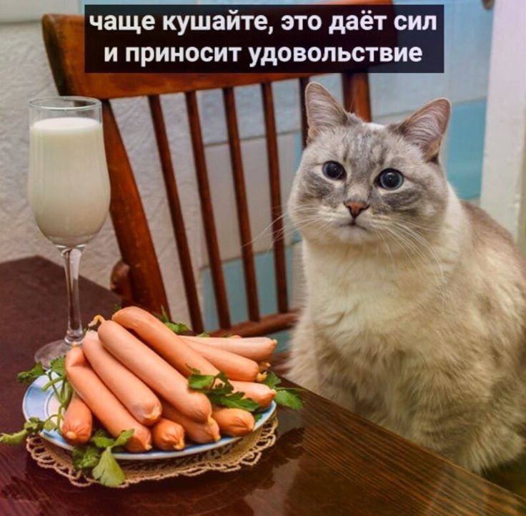 чаще кушайте это даёт сил и приносит удовольствие