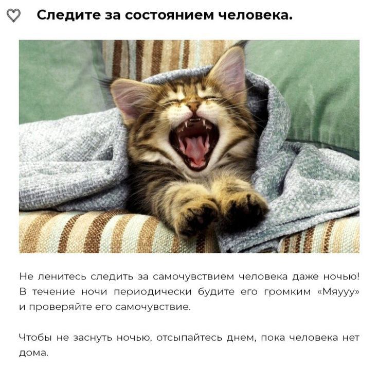 Следите за состоянием чалавека Нв пенитекь следить за сдмвчувпвивм человека даже и в течение и папиопичвсхи Бупит грпмким мииу и проверяйт его спмпчувпвие чтобы не засиуіь отсыпайтегь днем поща еловеиа нет дома