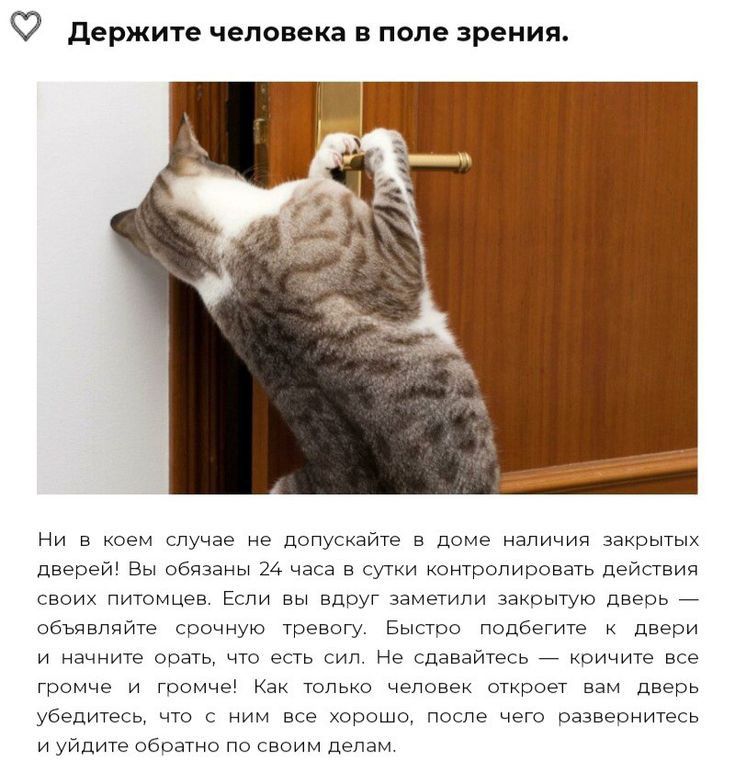 держите человека в поле зрения Ни туча М в щиич м в ты и в Му ша и вы о м мы _ _ нивуи вам о И лжи _ чоичм щим и Как ы дв тд к к ицие ниим ц