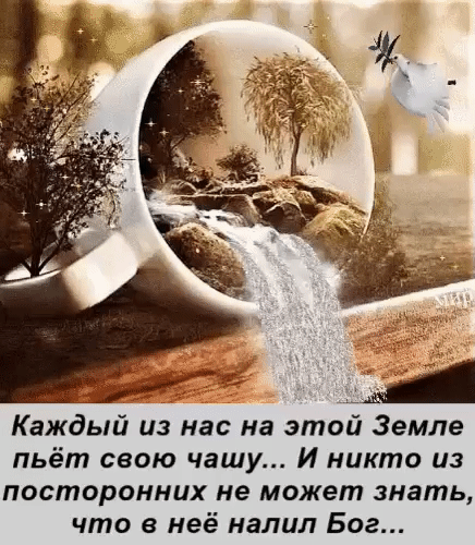 А Каждый из нас на этой Земле пьёт свою чашу И никто из посторонних не может знать что в неё налил Бог