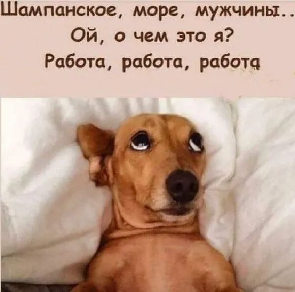 Шампанское море мужчины Ой о чем это я Работа работа работ