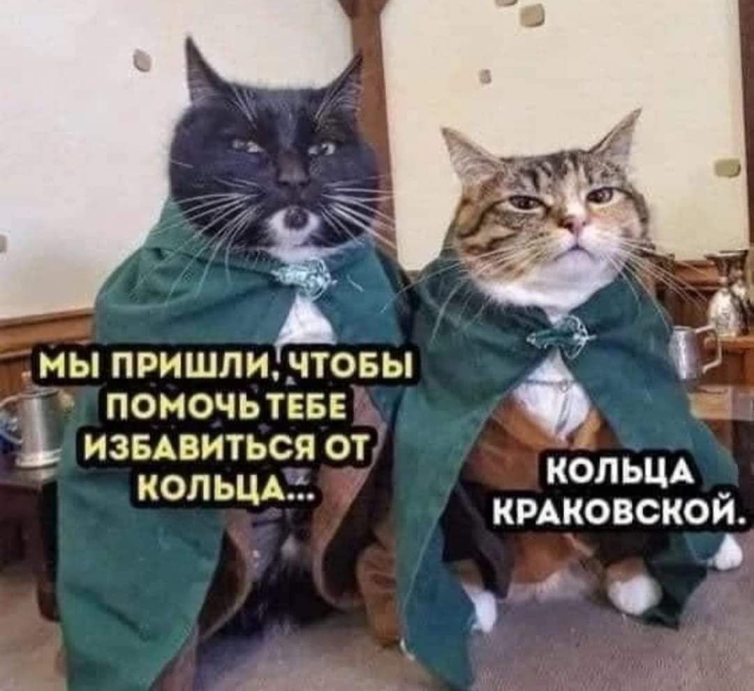 МЬ1ПРИШПИНТОБЬ поночьтвве извдвиться от копьцм кольщ киковскои