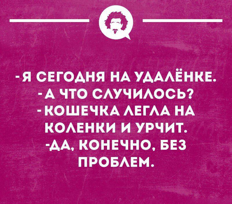 _Ф я снг0Аня НА УАААЁНКЕ А что САУЧ ИАосы КОШЕЧКА АЕГАА НА КОАЕНКИ и урчит АА конечно БЕЗ ПРОБАЕМ шипиоппн