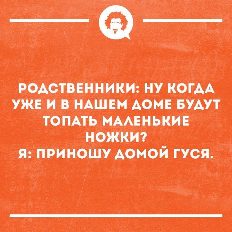 тиишжпш вино пм гид