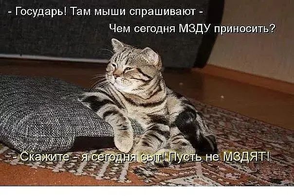 Государь Там мыши спрашивают Чем сегодня мзду приносить