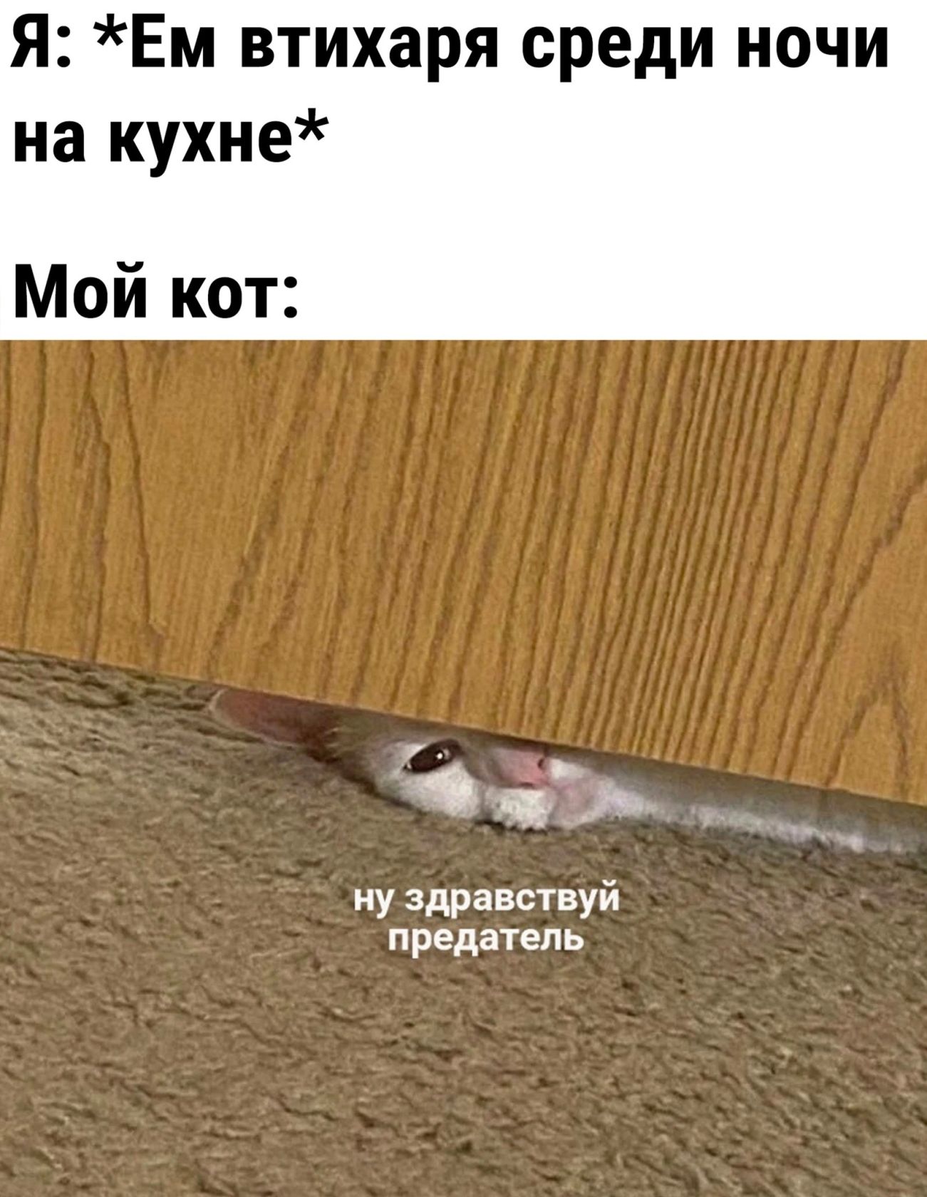 Я Ем втихаря среди ночи на кухне Мой кот ну здравствуй предатель