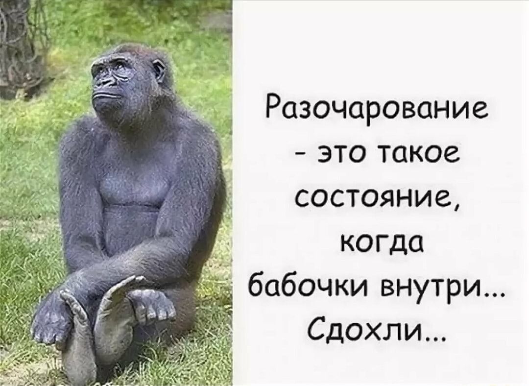 Разочарование это такое состояние когда бабочки внутри Сдохли