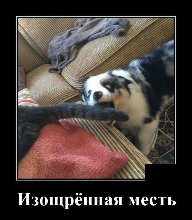 Изощрённая месть