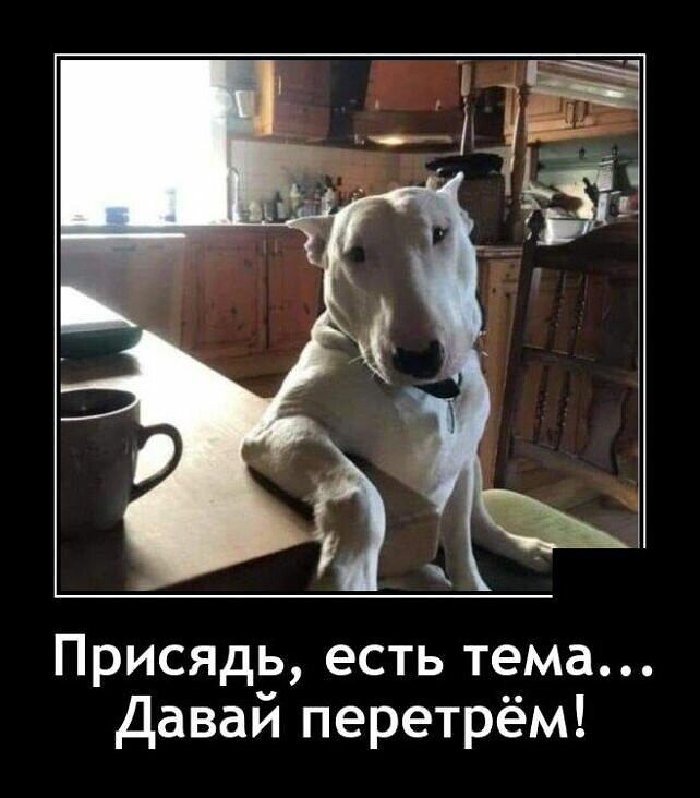 Присядь есть тема давай перетрём