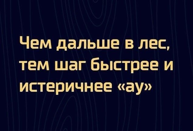 Чем дальше в лес тем шаг быстрее и истеричнее ау