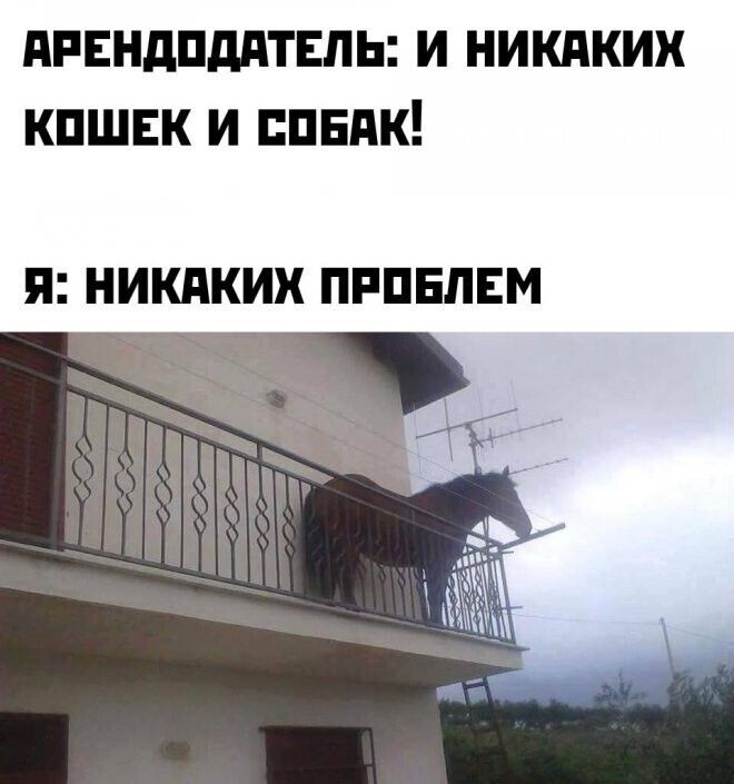 нивндпддтвпь и никдких кпшвк и пндк Я НИКАКИХ ПРПЕПЕМ
