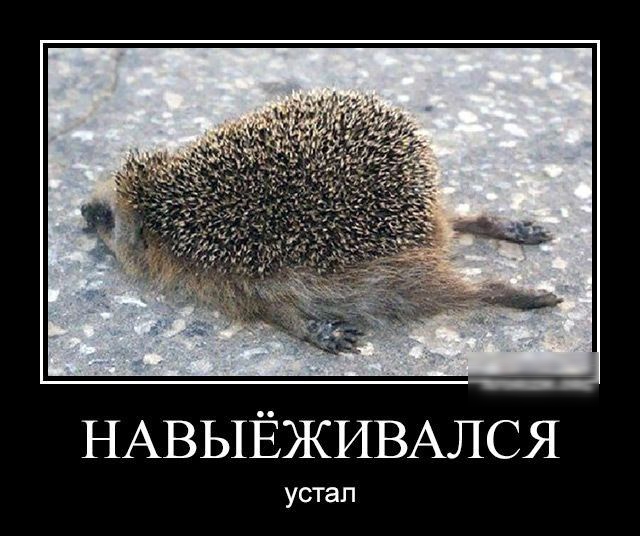 каши НАВЫЁЖИВАЛС устап