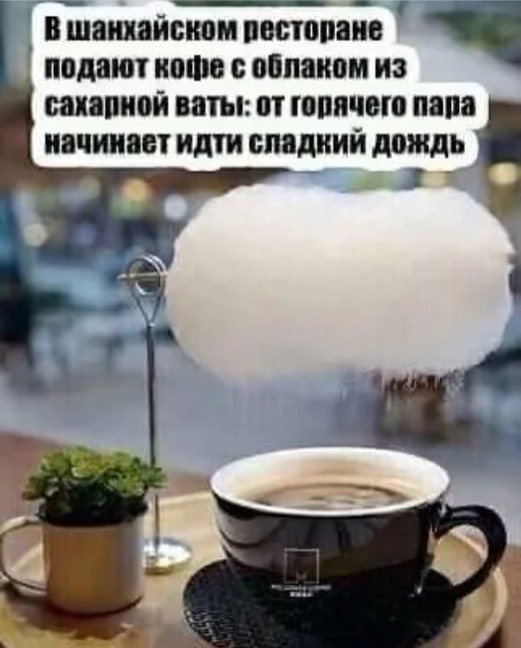 _ _ __ _ _ в шампанском пшппаив подают наша оіпаивм и ШіШШЙ ваты П ШВПШШ ППШ начинает идти ПШДИИЙ дождь