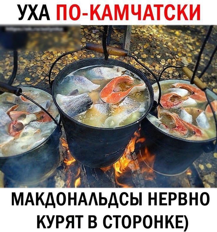 ини Пик ц УХА ПО КАМЧАТСКИ МАКДЬНААЬДСЫ НЕРВНО КУРЯТ В СТОРОНКЕ