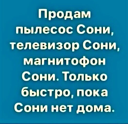 Продам пылесос Сони телевизор Сони магнитофон Сони Только быстро пока Сони нет дома