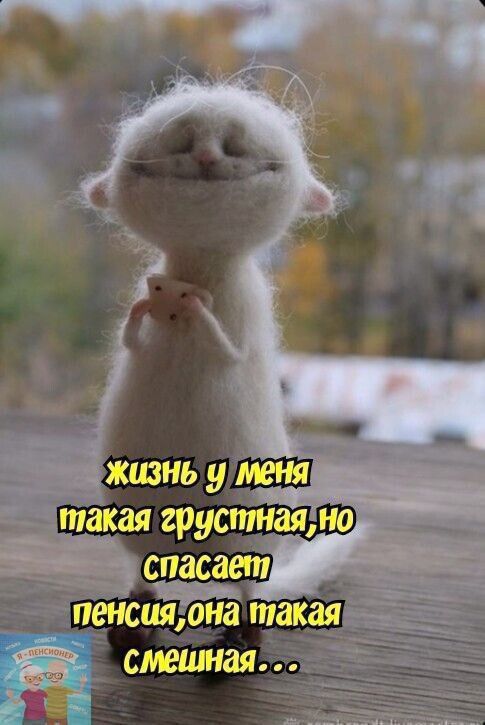 такая русптаялю 513 1 сёсаап пенсияона такая смешная