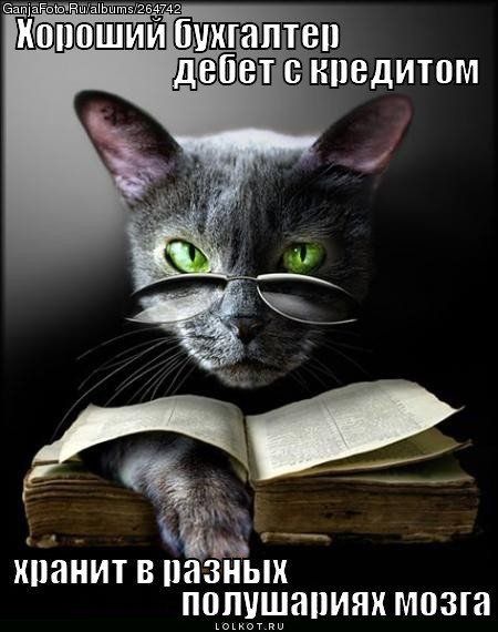 КШИТ В ПЗЗНЫК ПППУШЁШИЯК МПЗ