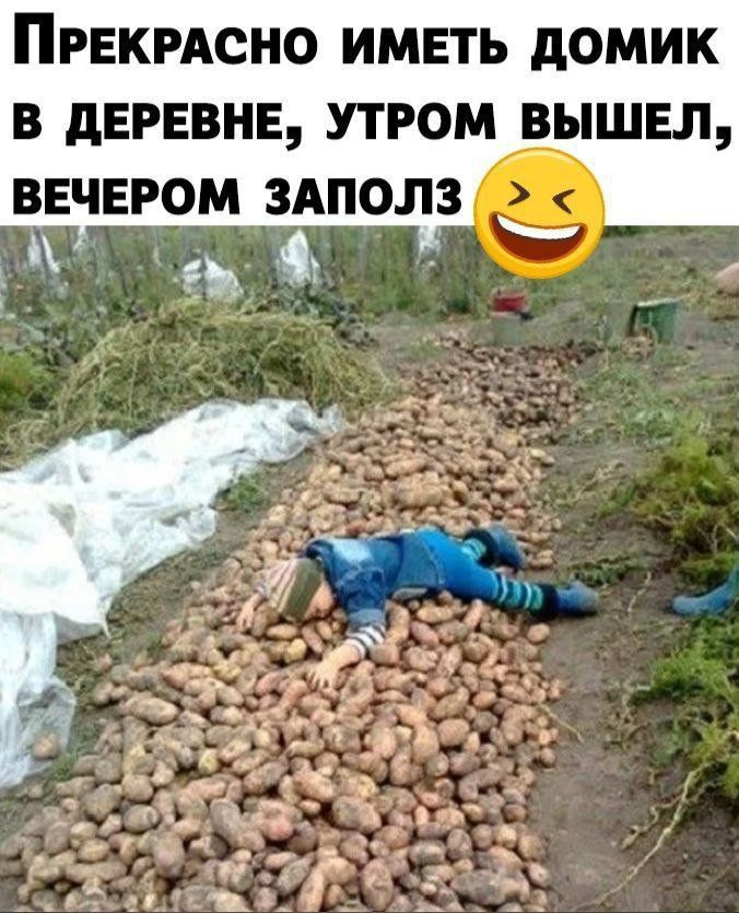 ПРЕКРАСНО ИМЕТЬ дОМИК В дЕРЕВНЕ УТРОМ ВЫШЕЛ ВЕЧЕРОМ ЗАПОЛЗ