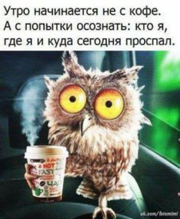 Утро начинается не с кофе А с попытки осознать кто я где я и куда сегодня проспал