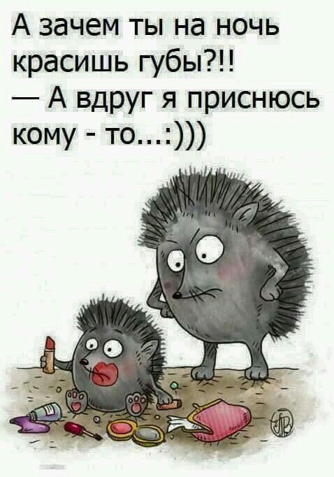 А зачем ты на ночь красишь губы А вдруг я приснюсь кому то
