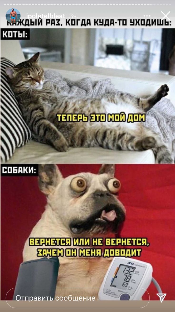 дый РПК КПГДП КНПП ТП ШШДИШЬ