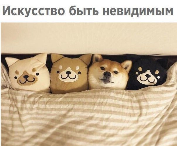Искусство быть невидимым