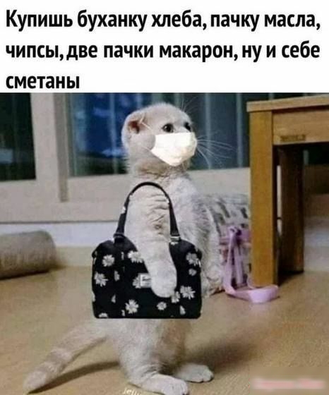 Купишь буханку хлеба пачку масла чипсыдве пачки макарон ну и себе сметаны